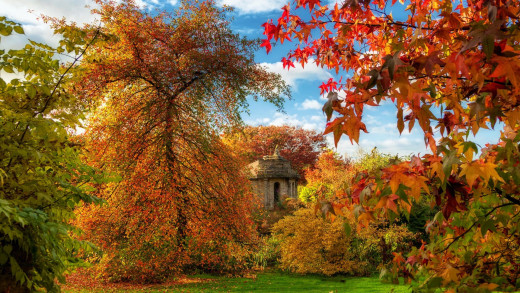 1756724 (a): :1920x1080